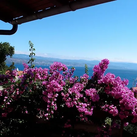 Guest house Lina 3*